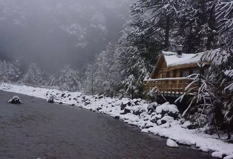 ホテル Lodge Nevados De Sollipulli