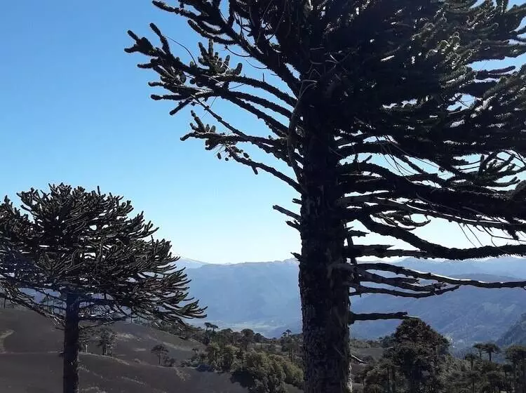 ホテル Lodge Nevados De Sollipulli