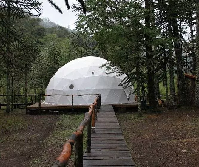 ホテル Lodge Nevados De Sollipulli