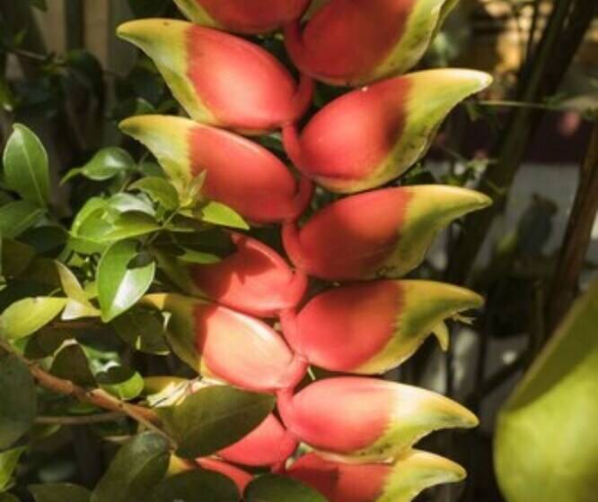 호텔 Pousada Encanto Da Serra