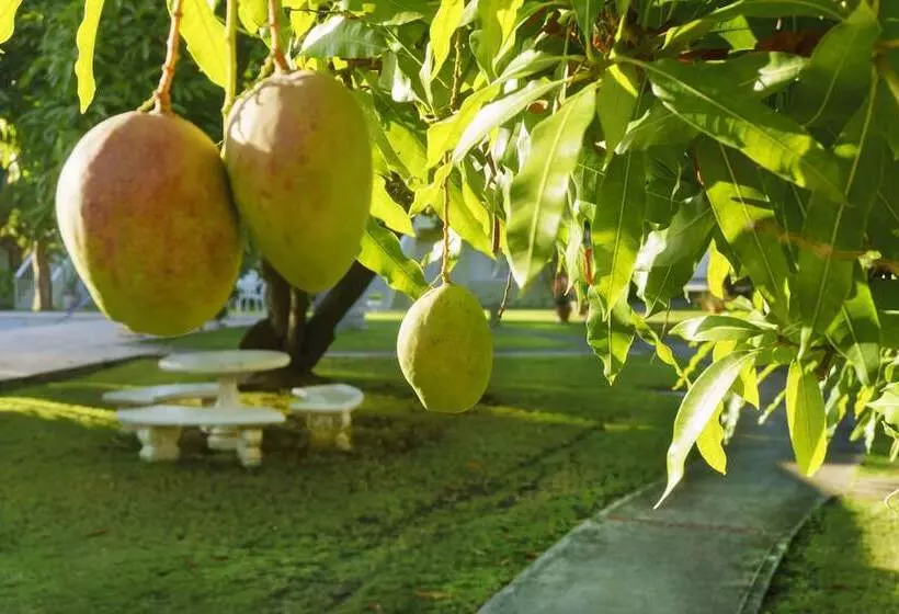 هتل Seawind On The Bay Beach Studio Olr