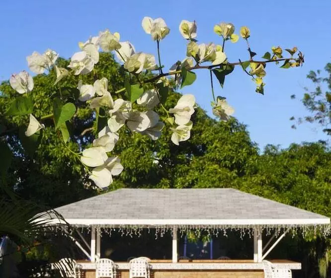 هتل Seawind On The Bay Beach Studio Olr