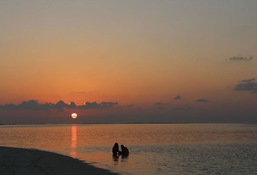 هتل The Castaway Retreat