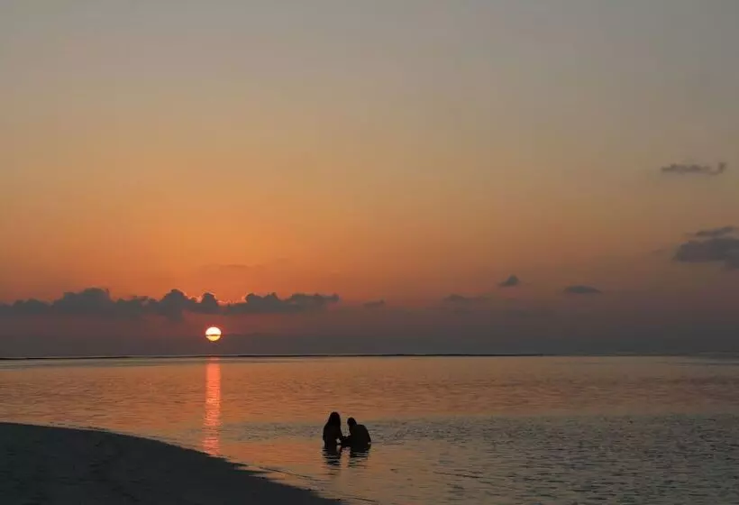 هتل The Castaway Retreat