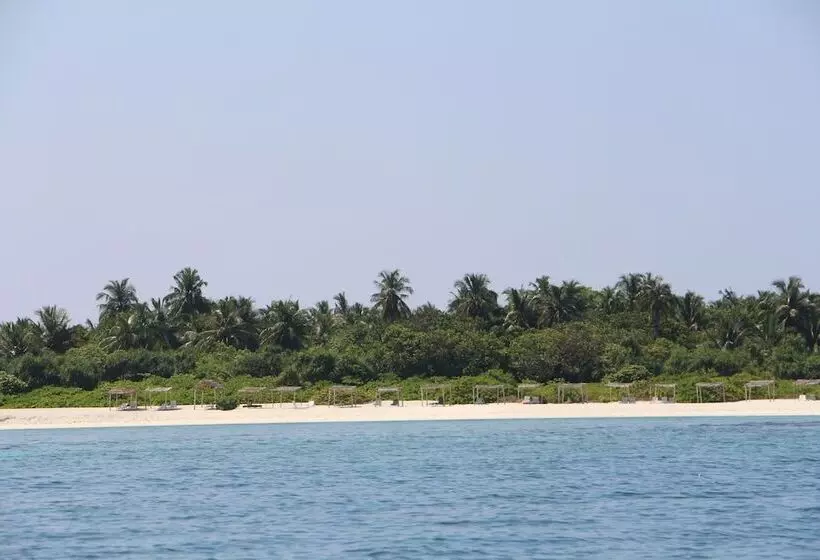 هتل The Castaway Retreat