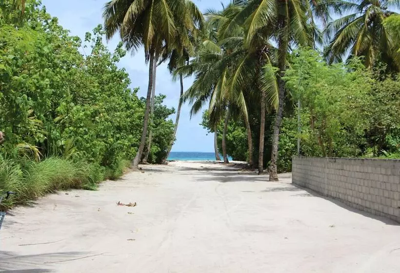 هتل The Castaway Retreat