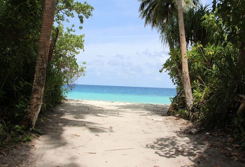 هتل The Castaway Retreat