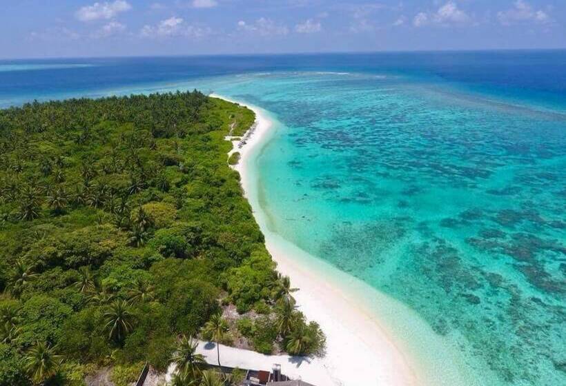 هتل The Castaway Retreat