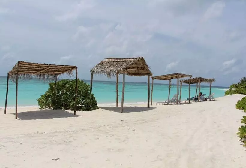 هتل The Castaway Retreat