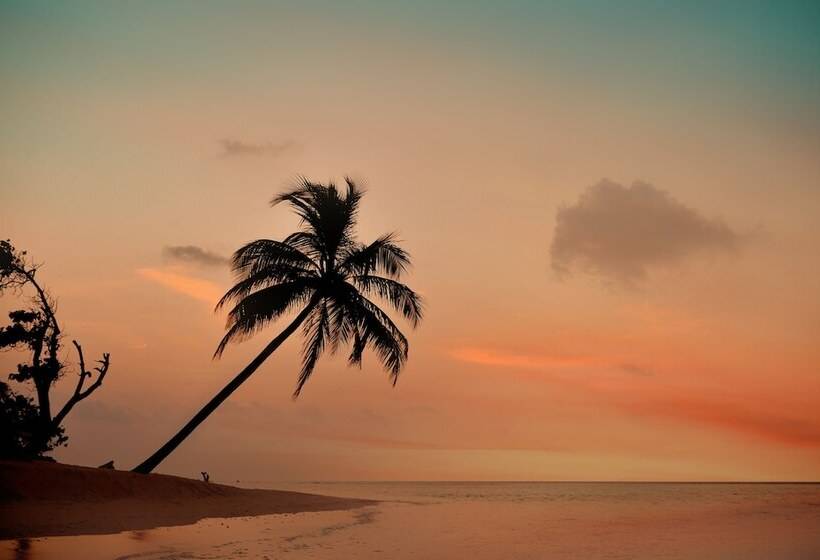 هتل The Castaway Retreat