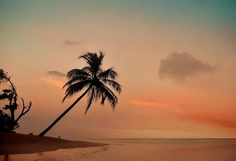 هتل The Castaway Retreat