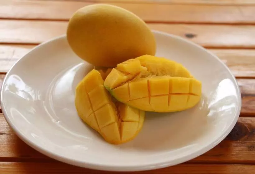 هتل The Castaway Retreat