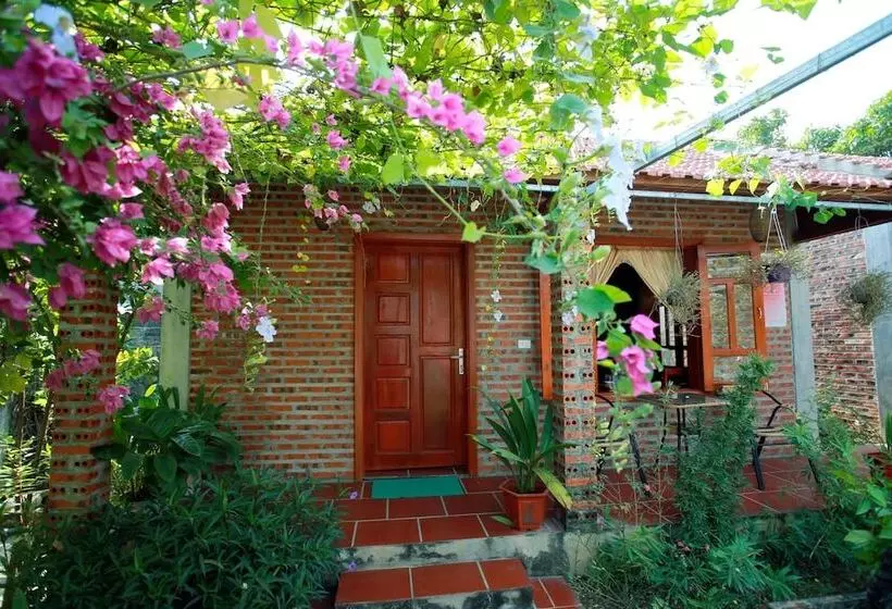 پانسیون Ninh Binh Nature Homestay
