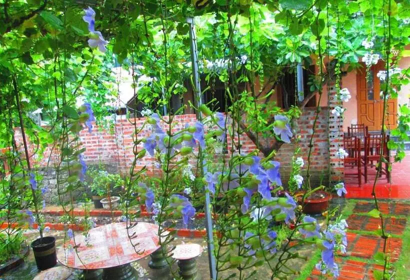 پانسیون Ninh Binh Nature Homestay