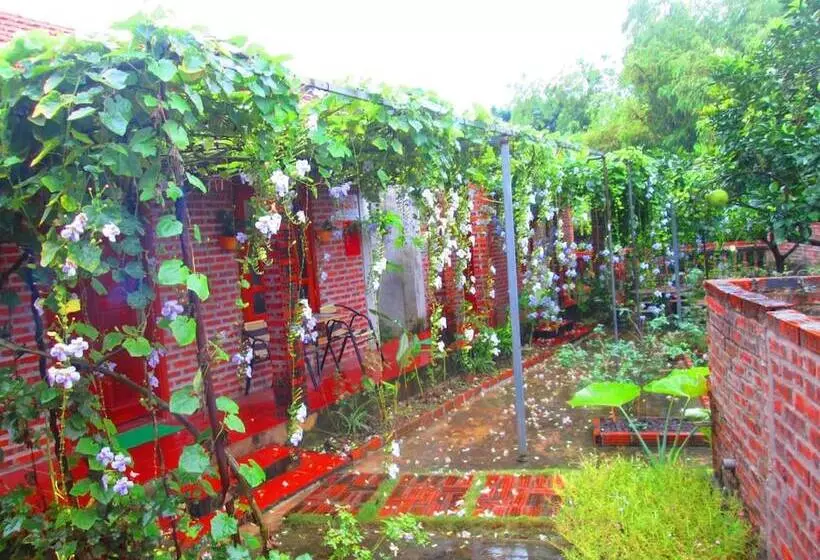 پانسیون Ninh Binh Nature Homestay