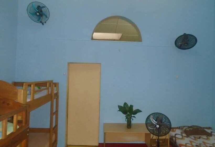 Amazon Mad Mick S Bunk House Adults Only Hostel