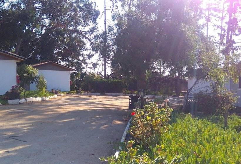 American Bed And Breakfast