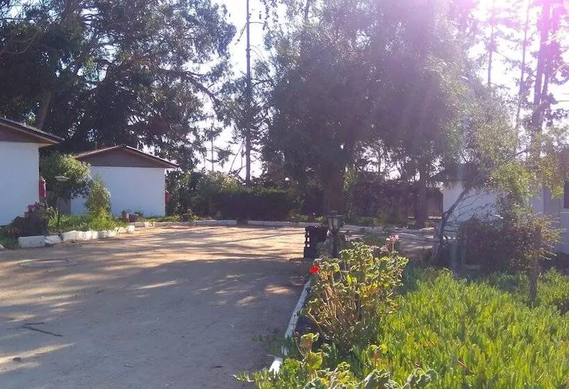 American Bed And Breakfast