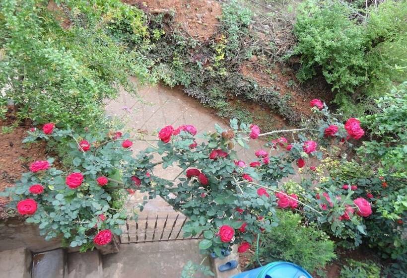 تختخواب و صبحانه Laxmi Homestay