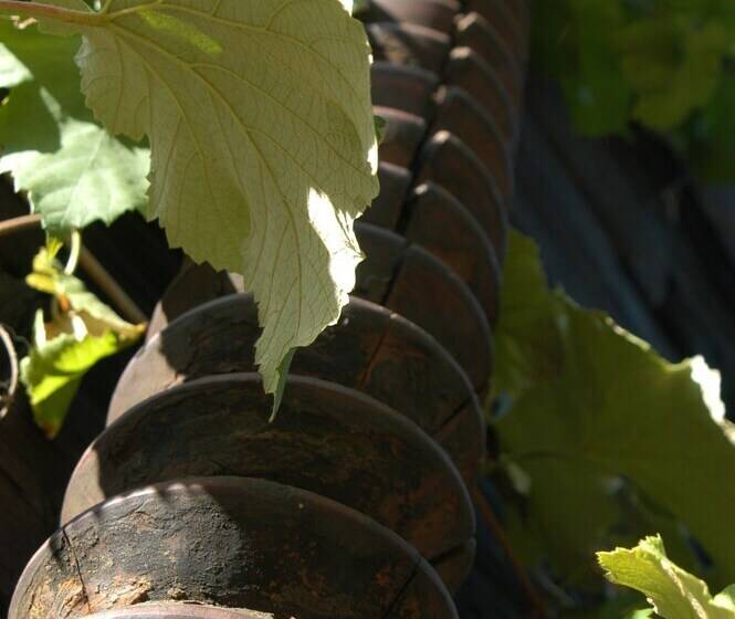 مبيت وإفطار Weingut Primus Südsteiermark