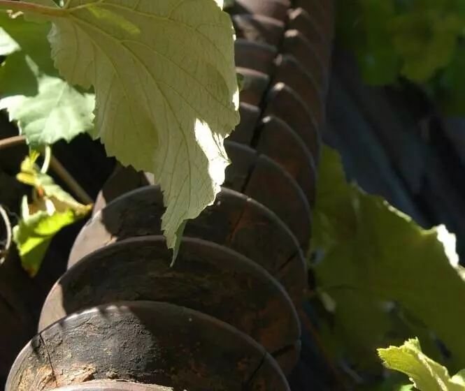 ベッドアンドブレックファースト Weingut Primus   Südsteiermark