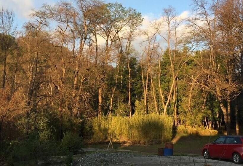 Bosque Los Lleuques Cabaña & Spa