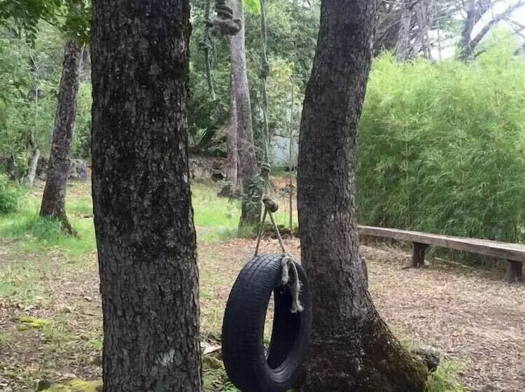 Bosque Los Lleuques Cabaña & Spa