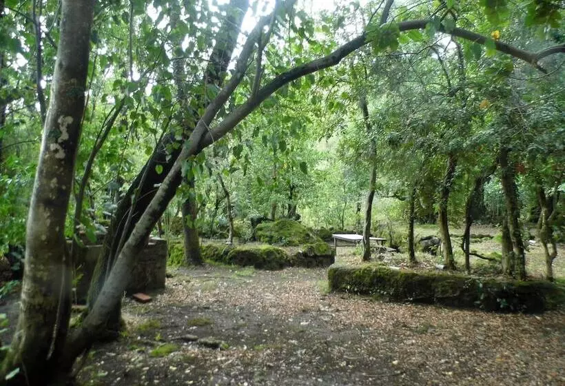 Bosque Los Lleuques Cabaña & Spa