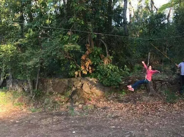 Bosque Los Lleuques Cabaña & Spa