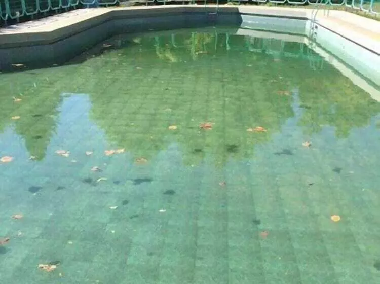 Bosque Los Lleuques Cabaña & Spa