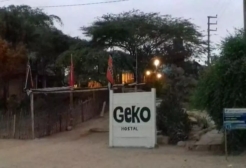 Geko Hostal