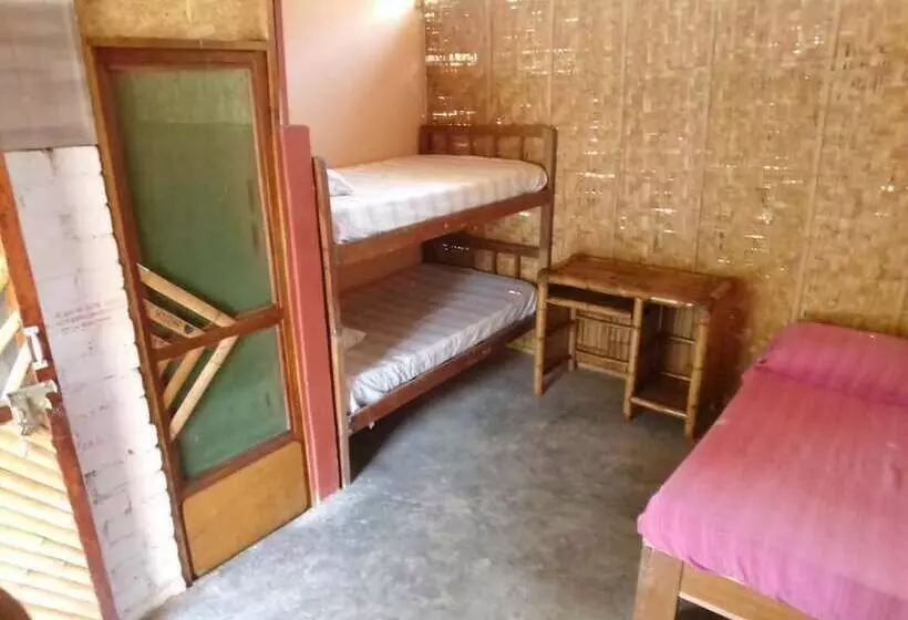 Geko Hostal