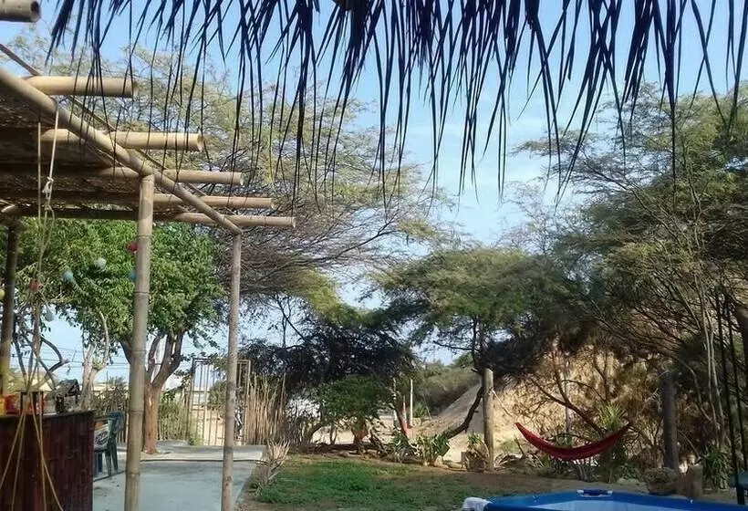 Geko Hostal