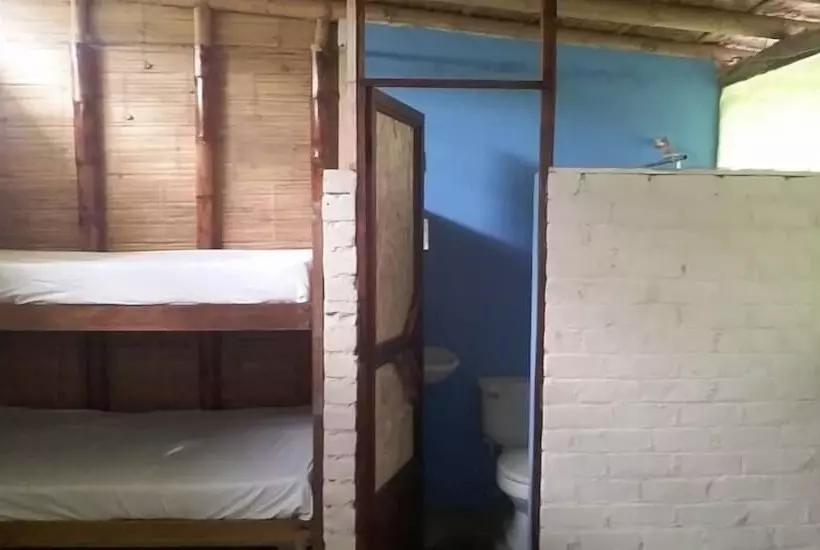 Geko Hostal