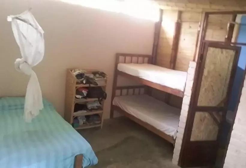 Geko Hostal