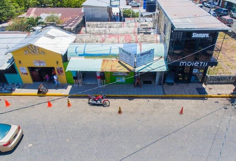 Hostal Los Chamos   Hostel