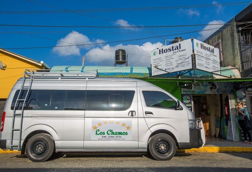 Hostal Los Chamos   Hostel