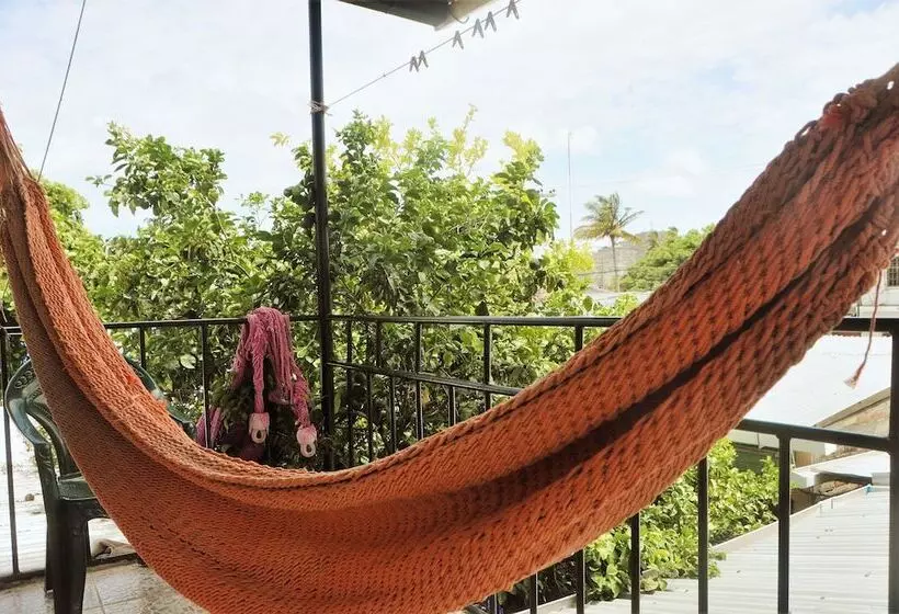 Hostal Los Chamos   Hostel