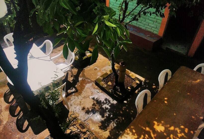 Hostal Los Chamos   Hostel