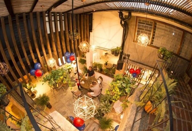Hostels Colombia Medellin