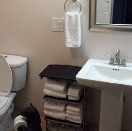 فندق Bear Paw Inn