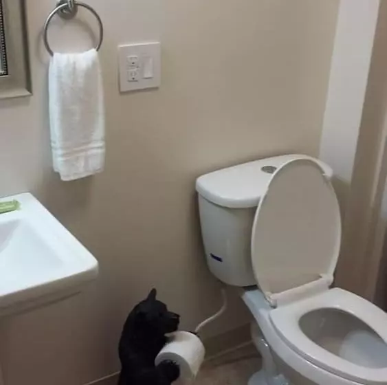 Hotelli Bear Paw Inn