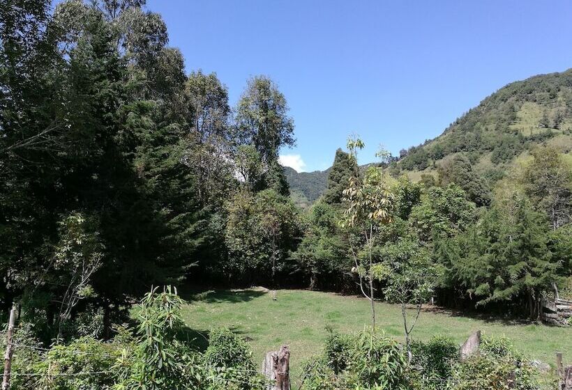 Hotel Cabañas Tipicas De Silvia