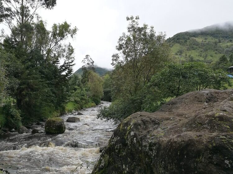 Hotel Cabañas Tipicas De Silvia