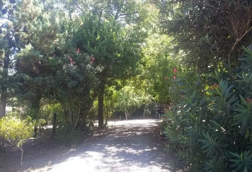 ホテル Centro Turístico Los Arces