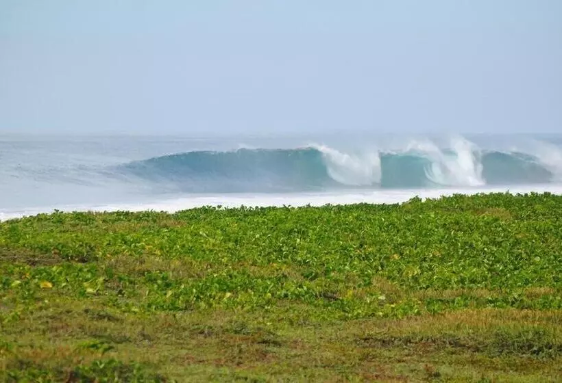 ホテル Cocori Lodge Monterrico