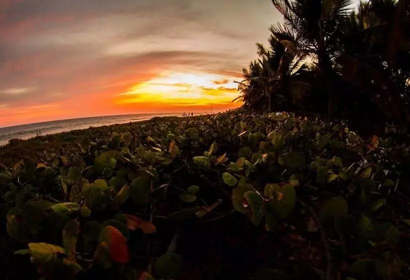 ホテル Cocori Lodge Monterrico