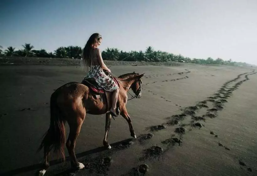 ホテル Cocori Lodge Monterrico
