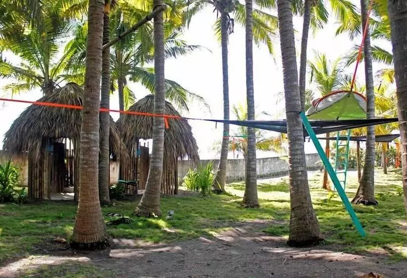 ホテル Cocori Lodge Monterrico