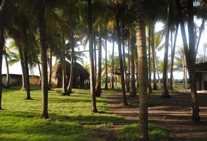 ホテル Cocori Lodge Monterrico